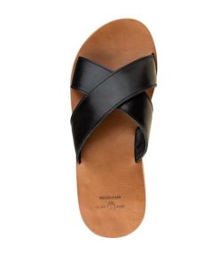 Truesun.shop02243defa2 2