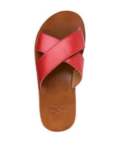 Truesun.shop0b75b52fc6 2