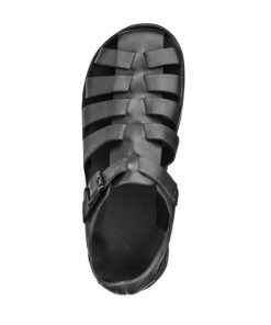 Truesun.shop0d807f0a8e 1