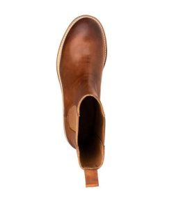 Truesun.shop20e4ef0b24 1