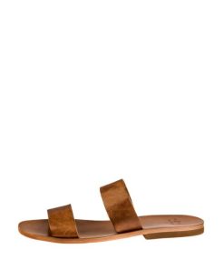 Truesun.shop25543c3c66 1