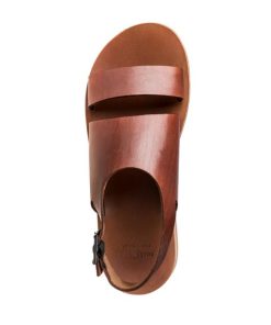 Truesun.shop3512760b7f 2