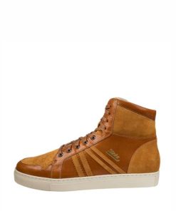 Truesun.shop3eadab922f 1