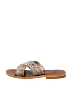 Truesun.shop541823c556 1