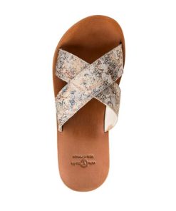 Truesun.shop541823c556 2