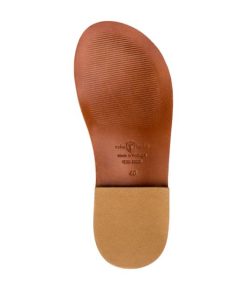 Truesun.shop541823c556 3