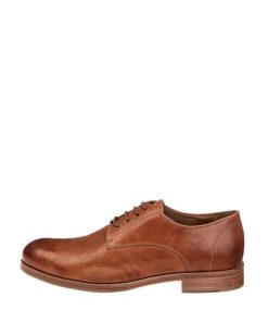 Truesun.shop5a2a7c3152 1