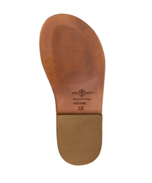 Truesun.shop8bd6fc99d9 3