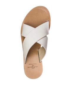 Truesun.shopdcb0f10eb4 2