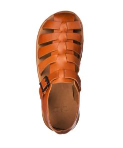 Truesun.shopfb264cf948 2